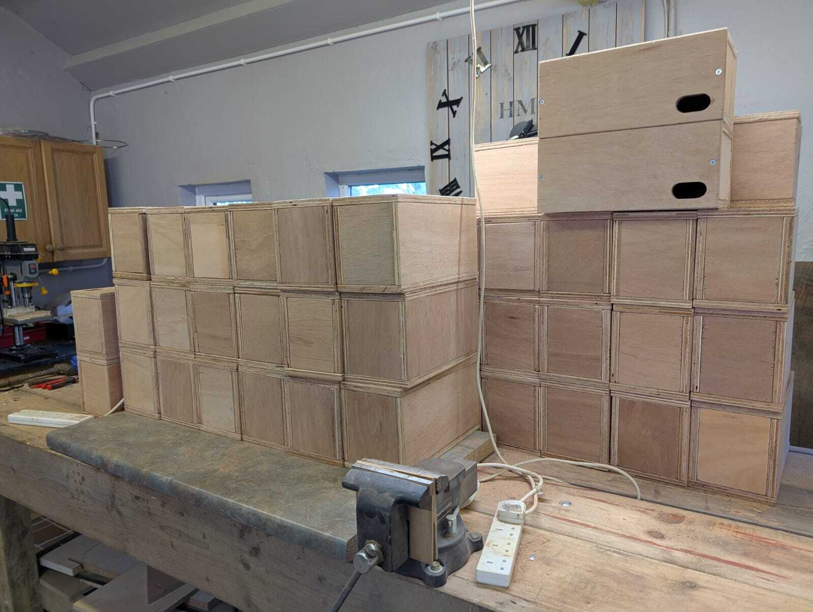 60birdboxes